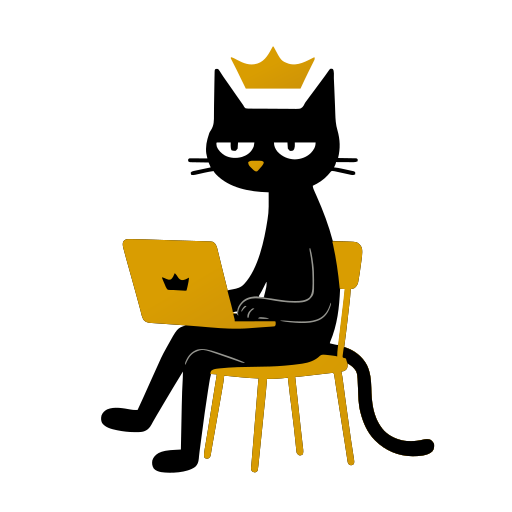 Our crowned cat, ready at his laptop